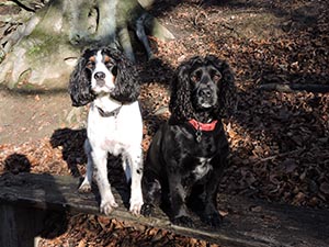 January 2017 Photo 14